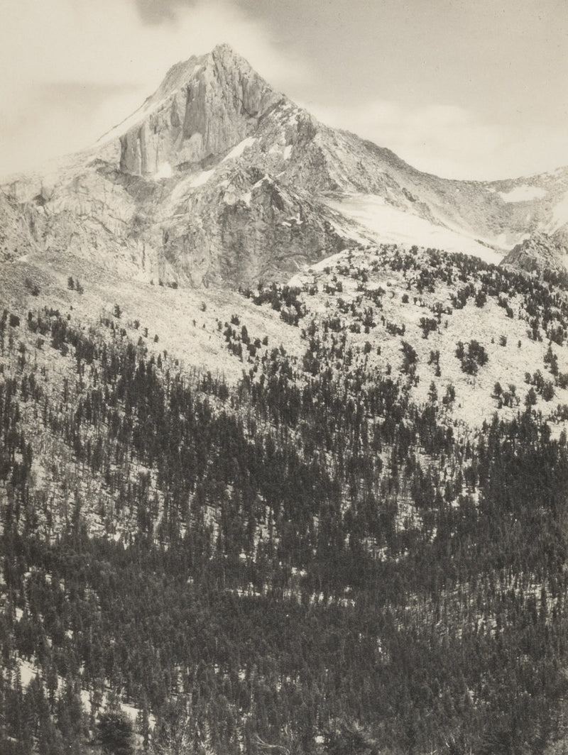 Ansel Adams